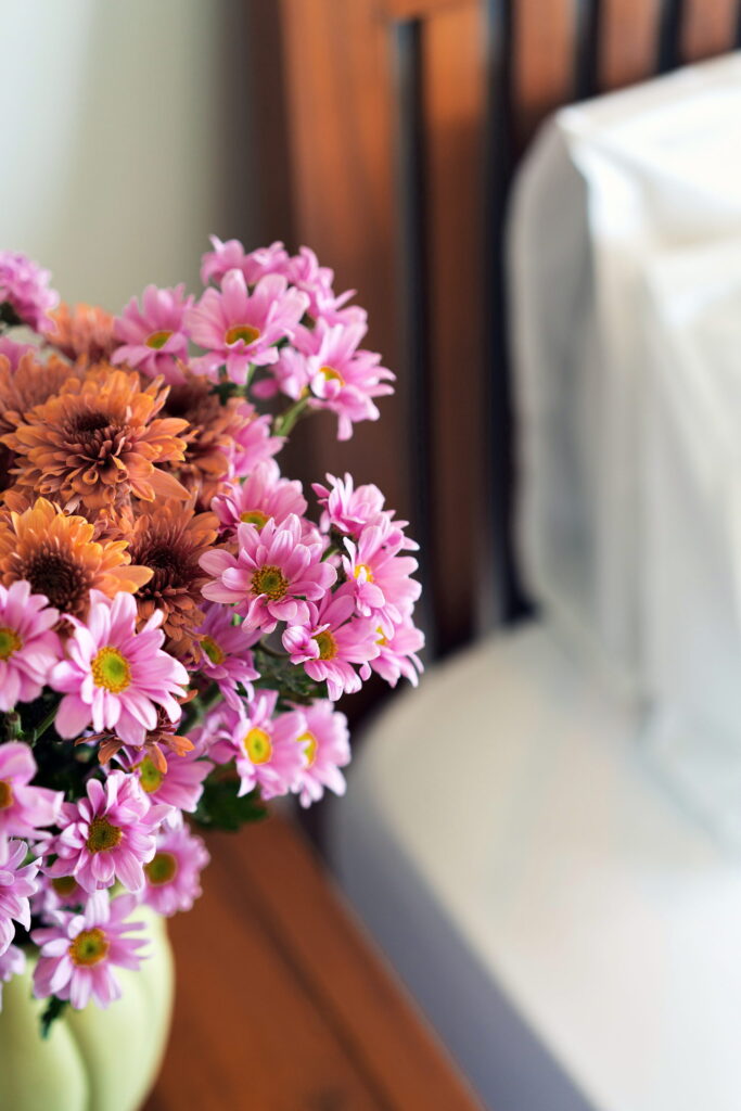 Pink flowers beside a white bed